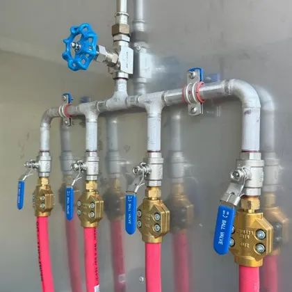 Detailaufnahme: 4 Dampflanzen